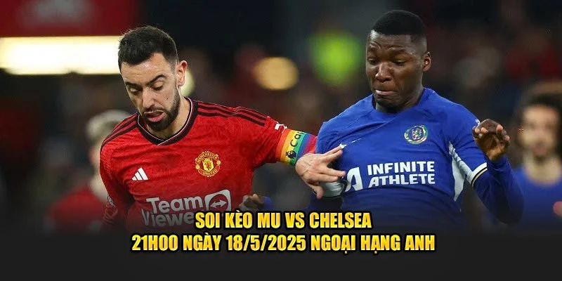 Ảnh đại diện soi kèo mu vs chelsea