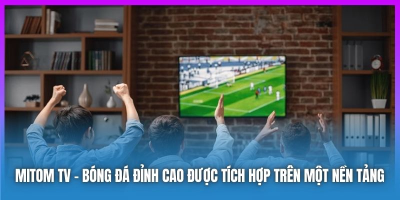 Mitomtv.futbol – Nơi Hội Tụ Đam Mê Bóng Đá