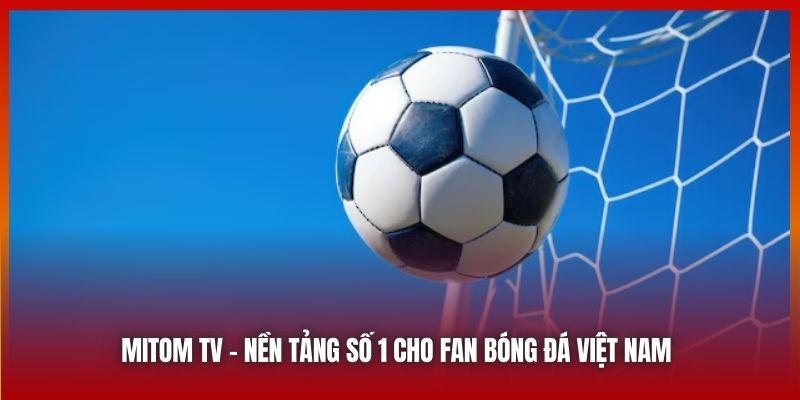 Mitom TV – Nền Tảng Xem Bóng Đá Trực Tuyến Miễn Phí